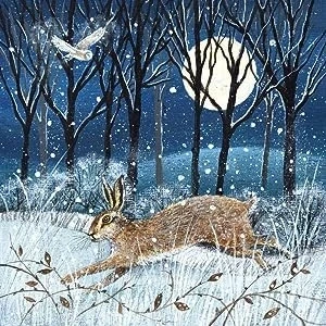 Image of Museums and Galleries Charity Christmas Cards Pack of 8 2024 with Snowy Moonlit Hare Owl Design Eco Friendly Xmas Multipack Envelopes