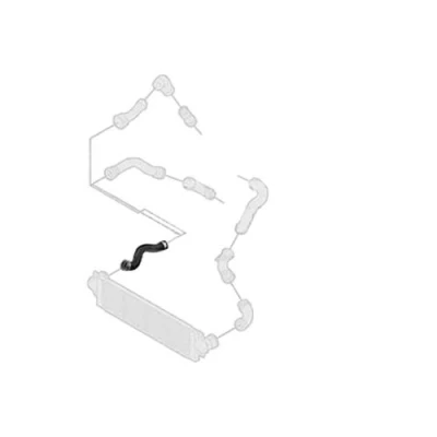 Image of 7H0145980, 7H0145980F Turbocharger hose BORG &amp; BECK BTH1089 without clip VOLKSWAGEN: Transporter 5, 5 Bus,