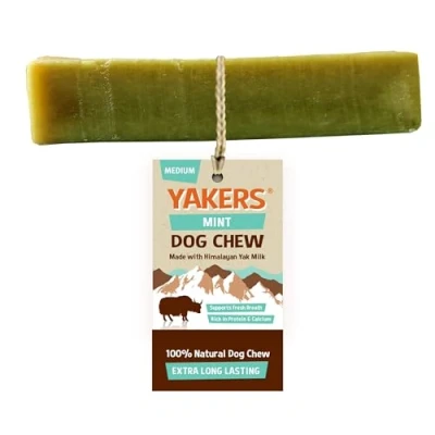 Image of WUNDAPETS YAKER&#039;S HIMALAYAN YAK MILK 100% NATURAL DOG PUPPY CHEWS TOUGH LONG LASTING FLAVOURED CHEWS, (1 PC) (MEDIUM, MINT)