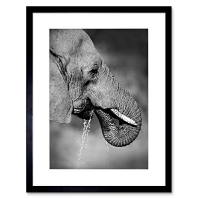 Image of Wee Blue Coo AFRICAN ELEPHANT DRINKING BLACK WHITE FRAMED ART PRINT PICTURE B12X8677