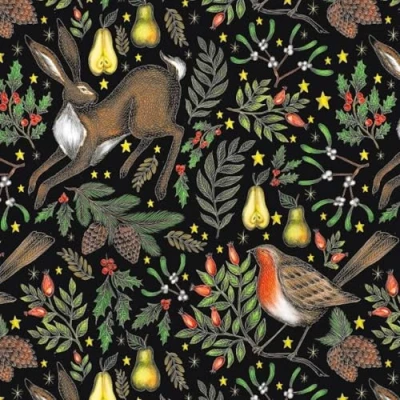 Image of Museums &amp; Galleries Christmas Cards (MG 349138 XPH) Garden Pack of 5 From The Illustrated Classics Range