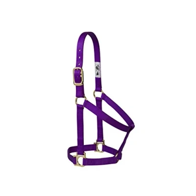 Image of Weaver Leather Basic Non Adjustable Nylon Horse Halter, Purple, 1&quot; Average