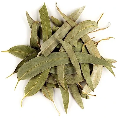 Image of Eucalyptus Organic Loose Tea Leaves Soft and Throat Coating Blackbutt 100g