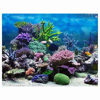 Image of Zerodis Decorative Poster for Aquarium Underwater Coral Stickers PVC Adhesive Decorations Background (91 x 41 cm)