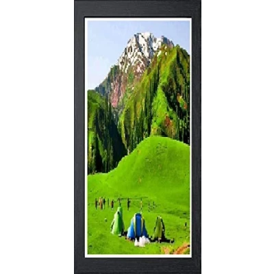 Image of Black Photo Frames Picture Poster Real Wood Glass Modern Frame 50 x 25cm
