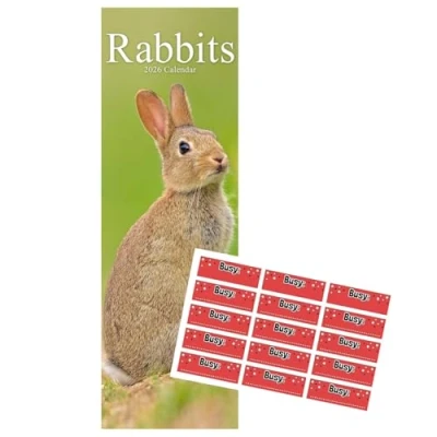 Image of Rabbits Calendar 2025 Slimline with FREE Organisational Stickers