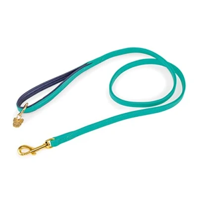 Image of Shires Digby &amp; Fox Padded Leather Dog Lead Aqua 1.2cm