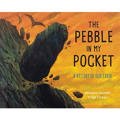 Image of The Pebble in My Pocket: A History of Our Earth