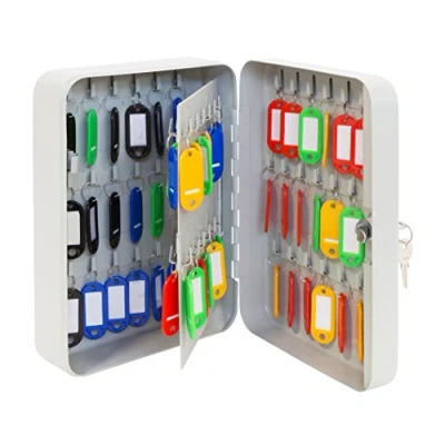 Image of ARREGUI PLL60 Cabinet Box Made of Varnished Steel Lockable Hooks and Key Lock, Includes Writeable Keyrings, 25 x 18 8 cm, Light Grey, Gray, 60 Schlüssel