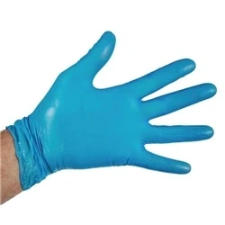 Image of Hygiplas Powder Free Vinyl Gloves Blue Large (100 pack)