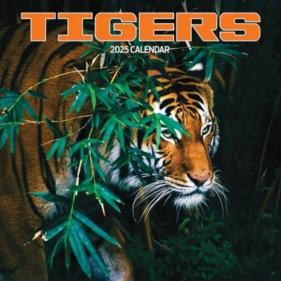 Image of Tiger 2025 Calendar