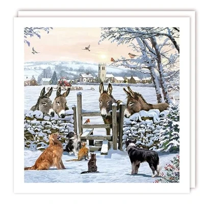 Image of Tracks Publishing Charity Christmas Cards Donkeys, Dogs and Cats in the Snow Eco Friendly Pack of 5