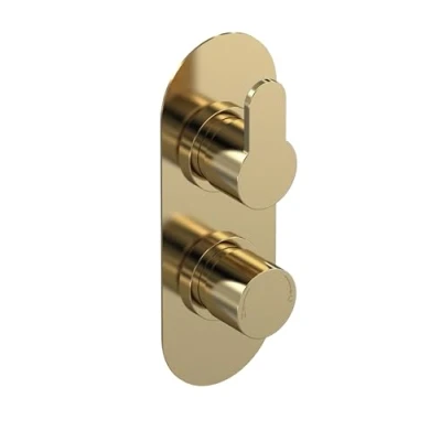 Image of nuie ARV8TW01 Arvan Modern Bathroom Concealed Round Twin Thermostatic Shower Valve, 215mm, Brushed Brass