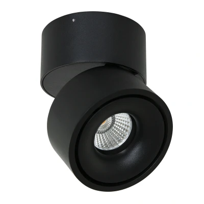 Image of Fes Black Surface Mounted Downlight Matt