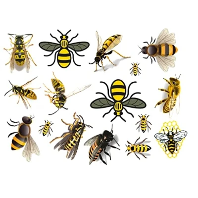 Image of Bee Collection (Bee Temporary Tattoos c2)