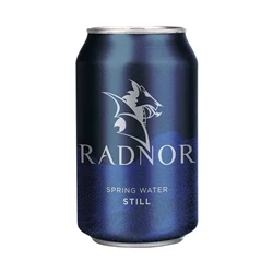Image of Radnor Spring Water Still 330ml Can (Pack of 24) 0201059