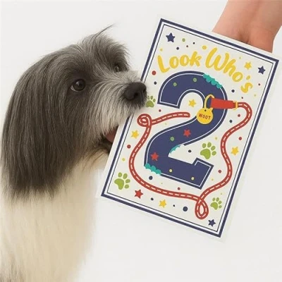 Image of Scoff Paper Edible Happy Birthday Dog Card The Your Can Eat! 2, Single A5, Chicken Flavoured Card. Ideal Treat, Snack, Gift Or For Pet