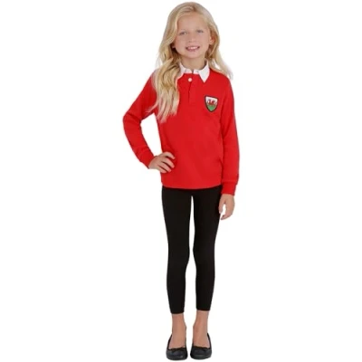 Image of Smiffys Kids Welsh Rugby Shirt, Supporters Fancy Dress, Child Dress Up Costumes