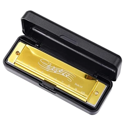 Image of Blues Harmonica In C Key 10 Holes Harp Diatonic 20 Tones Mouth Organ For Adult Kid Beginner