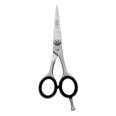 Image of Professional Hair Cutting Scissors 4.5 inch Hairdressing Regular Shears for Barber Salon Razor Edge Stainless Steel with Finger Rest .BS4.5