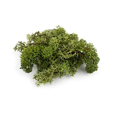 Image of War World Scenics Lichen Dark Green Moss Model Foliage 60g Railway Wargame Scenery Landscape Modelling Trees Bushes Hedges Diorama Basing Material