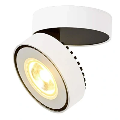 Image of Dr.lazy Indoor 12W LED Adjustable Ceiling Spots lamp Light Spotlight Surface Mounted spotlights Downlight,10X10x6CM (White 3000K)