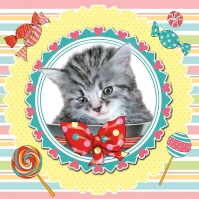 Image of Daisy 3 Ply Spring Flowers Tissue Paper Napkins Serviettes for Decoupage Lunch 33cm x Pack of 20 (Sweet Kitten)