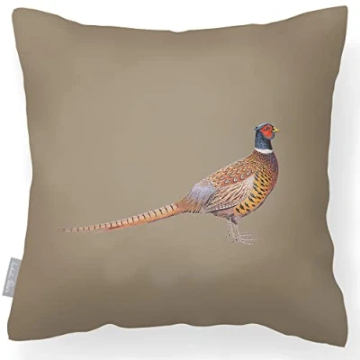 Image of Izabela Peters Outdoor Cushions Waterproof, 43 cm, Filled Cushion, Pheasant Taupe, Garden Furniture Cushions, Seat Chair