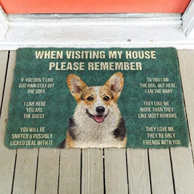 Image of Door Mat Indoor Entrance Porch Welcome Funny Non Slip Floor Adorable Corgi Doormat Home Decor Dog When Visiting My House Housewarming 24x16 Inch