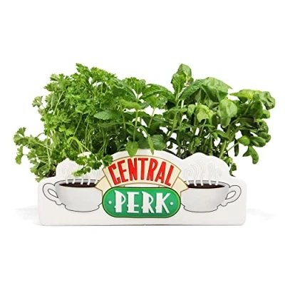Image of Friends Collectable Vases Table Top Vase Central Perk