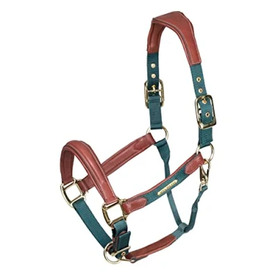 Image of Shires Velociti Lusso Padded Leather Headcollar Cob Green