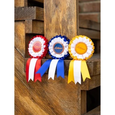 Image of LeMieux Hobby Horse Rosette Pack Set of Three Satin Winner Rosettes Congratulate Your Suitable for Ages 3+