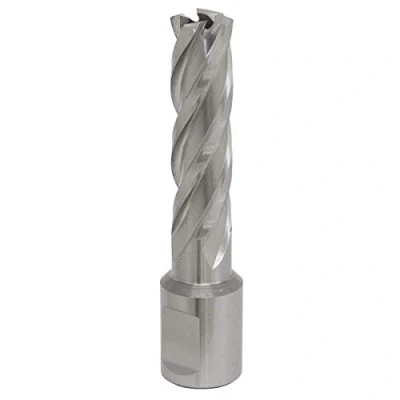 Image of Worksafe Rotabor Cutter HSS Ø14mm Cut Depth 50mm