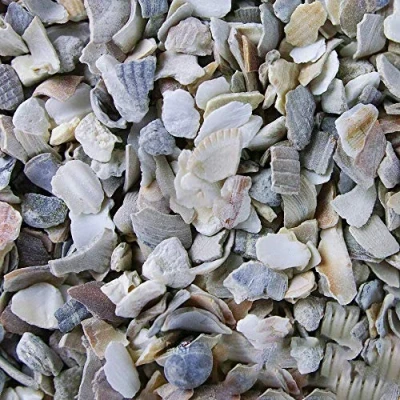 Image of BusyBeaks Hen Sized Oyster Shell Premium High in Calcium Poultry Grit Enhances Strong Bones Digestion System and Quality of Eggs Chicken Animal Wildlife Mixture Natural Food Mix (25kg)