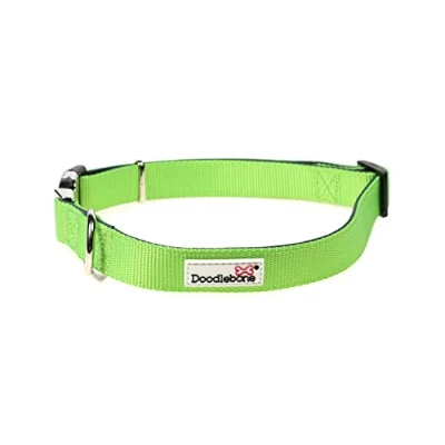 Image of Doodlebone Padded Collar, Apple, 6 11