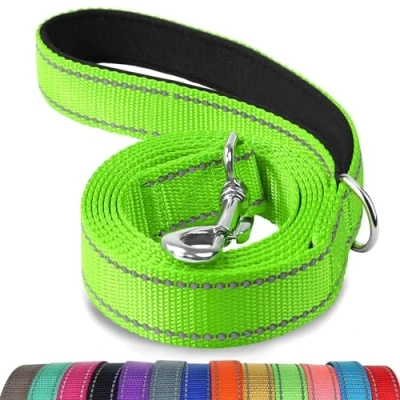 Image of Joytale Padded Handle Dog Lead,Double Sided Reflective Nylon Dogs Leads for Training,Walking Leash Small, Medium Dogs, 1.8m x 2cm, Green