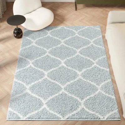 Image of homeart Area Rug Super Soft Geometric Shaggy Rugs For The Living Rooms, Bedrooms And Kitchen Modern, Easy To Clean Carpet(Trellis Duckegg Ivory 80x150 cm)