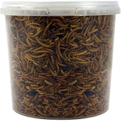 Image of SQUAWK Dried Mealworms Premium Garden Wild Bird Food Mix Balanced Formula Protein Rich, Great Source of Energy Contains Beneficial Mixed Vitamins Large Variety (10L Tub)