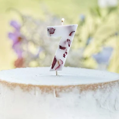 Image of Ginger Ray Pressed Petal Number 7 Birthday Party Candle, Pink