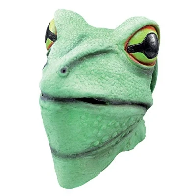 Image of Bristol Novelty BM255 Frog Overhead Mask, One Size