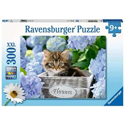 Image of Kleine Katze