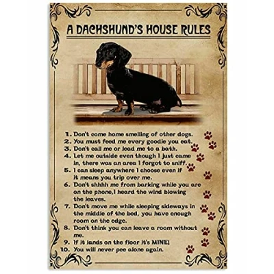 Image of TNND A Dachshund&#039;S House Rules Funny Wall D¨cor Art Gift For Dog Lover Metal Sign Tin Poster 8x12 inch
