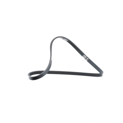 Image of 5750FL, 8200065601 V ribbed belt DAYCO 3PK740 740,0mm 3 RENAULT: CLIO 2, Kangoo I, I Express, DACIA: SANDERO 2