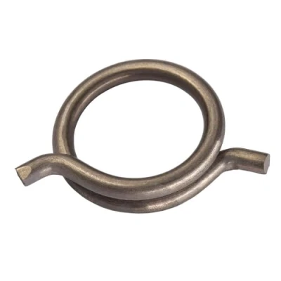 Image of WMF Spring, Transparent