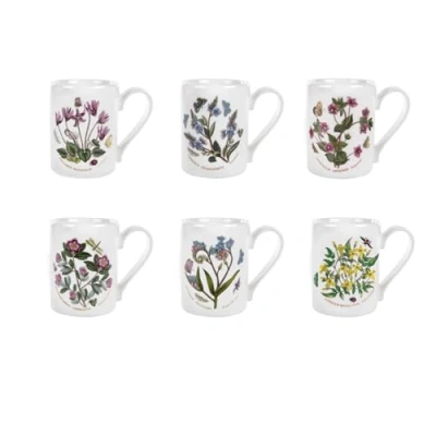 Image of Portmeirion Botanic Garden 10oz Coffee Mug