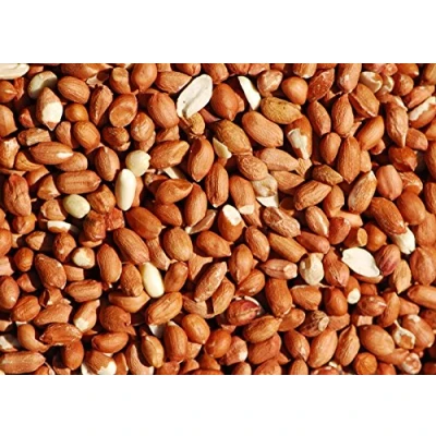 Image of Bird Whole Peanuts Quality Fresh Feed for Wild Birds Garden (5KG)