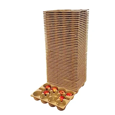 Image of Paper Fibre Apple &amp; Fruit Storage Trays (Set of 50)