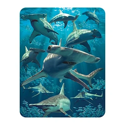 Image of 3D LiveLife Magnet Hammerhead Shark from Deluxebase. Lenticular Fridge Magnet. Magnetic decor for kids and adults with artwork licensed renowned artist, David Penfound