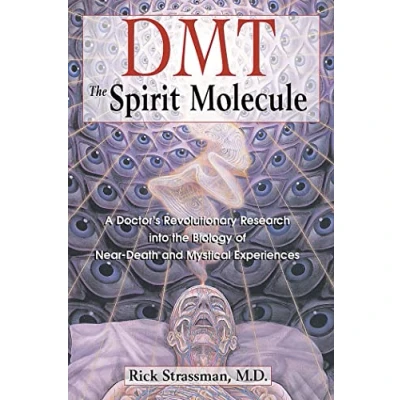 Image of DMT: the Spirit Molecule: A Doctor&#039;s Revolutionary Research into Biology of Near Death and Mystical Experiences