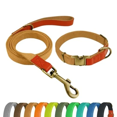 Image of QRDA Dog Collar and Lead Set Khaki Colour Personalized Adjustable Tactical Belt for Small Dogs Medium